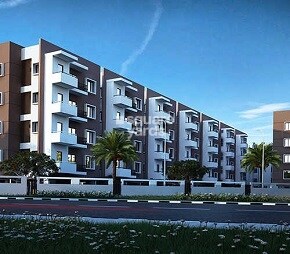 Mahaveer Turquoise