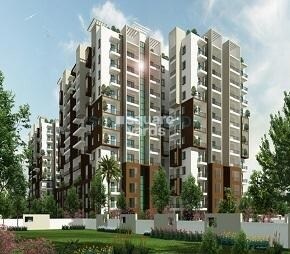 Maithri Shilpitha Sunflower, Whitefield, Bangalore