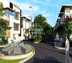 Mana Foliage Featured Image