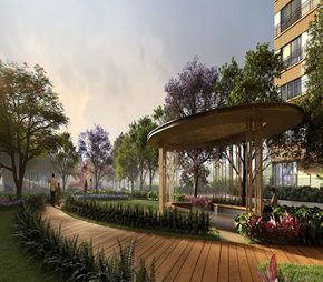 Mana Forest Province, Chikkavaderapura, Bangalore