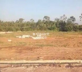 Manani VRP Woods