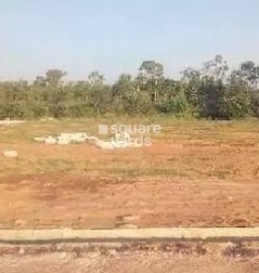 Manani VRP Woods Manani VRP Woods
