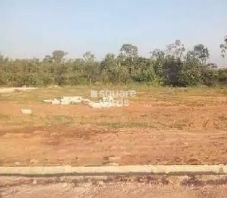 Manani VRP Woods Cover Image