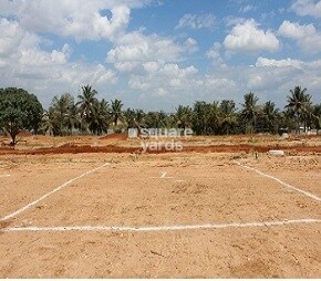 Mangala Aditya Orchard