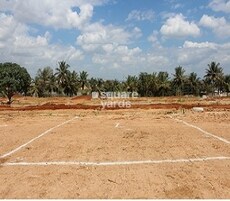 Mangala Aditya Orchard Featured Image