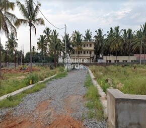 Mango Mist, Samethanahalli, Bangalore