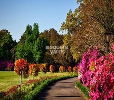 Manyata Ambhrinyi Featured Image