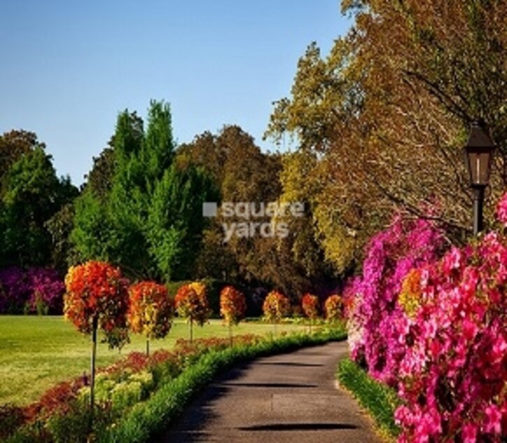Manyata Ambhrinyi Cover Image