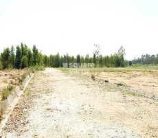 Max Blossom Featured Image