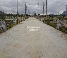 Max Nandagokula Featured Image