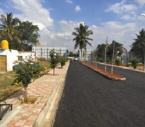 Max Sri Sri Tapovan 2