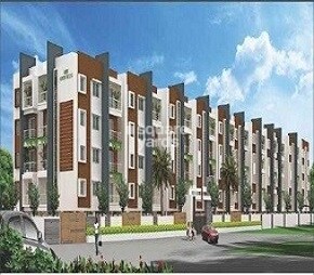 MBM Green Woods