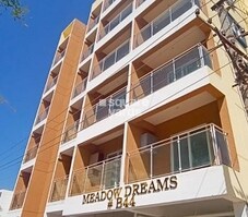 Meadow Dreams Featured Image