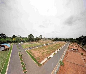 Merusri Springs Plots