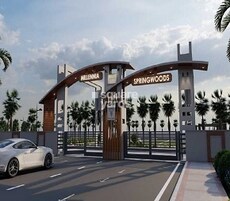 Millennia Spring Woods Featured Image