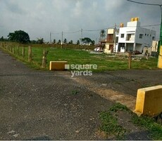 Ground Mist Featured Image