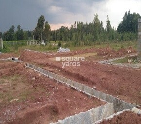 Mittas Golden Meadows