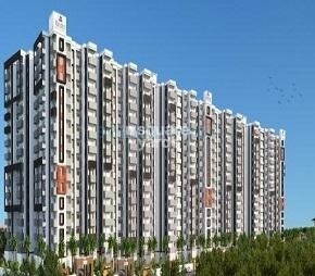 MJ Lifestyle Amadeus, Hosa Road, Bangalore