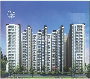 tn mjr clique hydra project flagship1