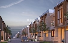 MJR Divine Meadows Featured Image