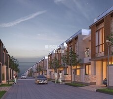 MJR Divine Meadows Featured Image