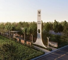 Modern IVY County Featured Image