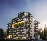MPN Green Storeys Video