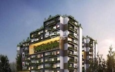 MPN Green Storeys Featured Image