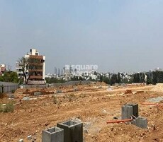 MR Rainbow Misty Greens Featured Image