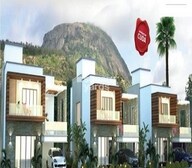 tn msk paradise project flagship1