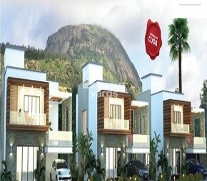 MSK Paradise