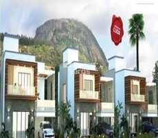 MSK Paradise Featured Image