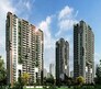 Myhna Maple Flagship Image