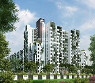 Myhna Orchid Video