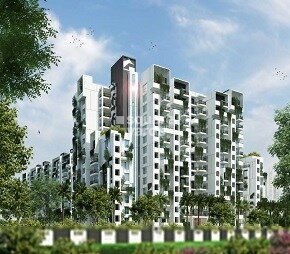 Myhna Orchid