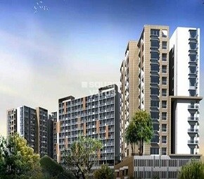 Mythreyi Ameyavana, JP Nagar, Bangalore