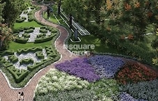 Nature NXT Featured Image