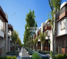 NCC Urban Misty Woods Featured Image