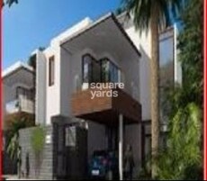 ND Around The Mangoes Featured Image