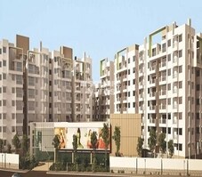 ND Passion Elite Featured Image