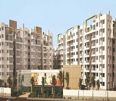 ND Passion Elite Featured Image