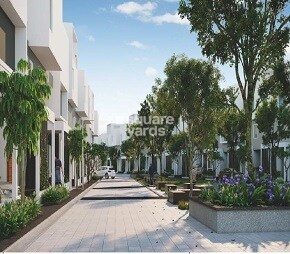 New Dawn Featured Image