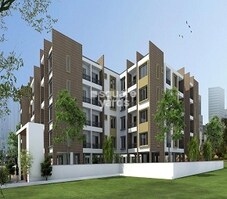 New India Tanzanite Featured Image