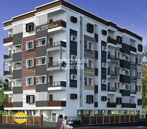 Nishitas Platinum