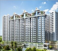 Nitesh Virgin Island Featured Image