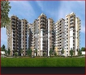 NR Infra White Rose