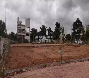 NS Royallook Township