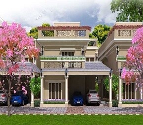 NVT Arcot Vaksana