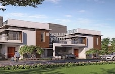 NVT Mystic Garden Featured Image