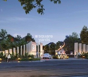 NVT Symphony of Orchards Video